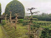 苗圃基地
